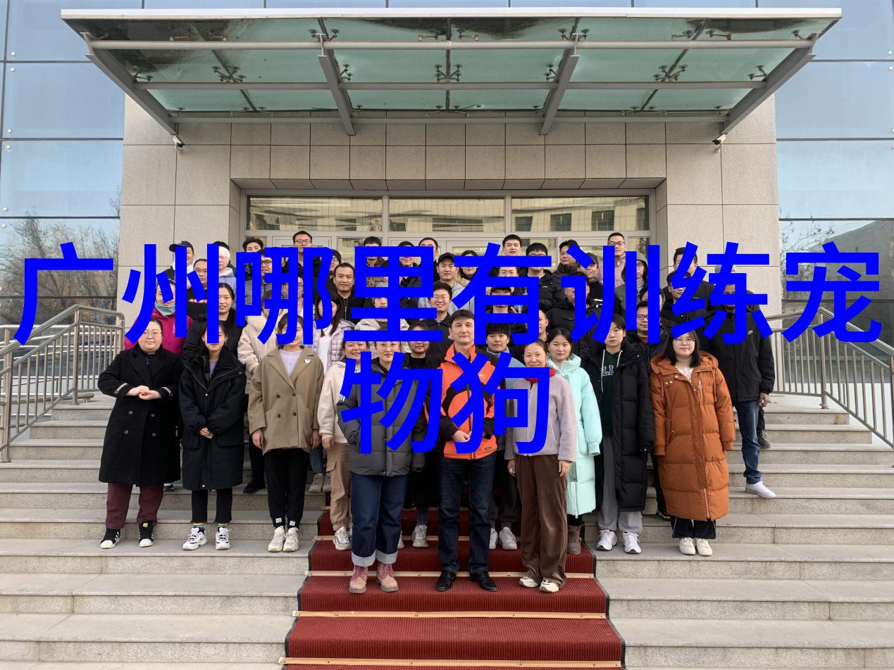 宠物猫的饲养知识有哪些