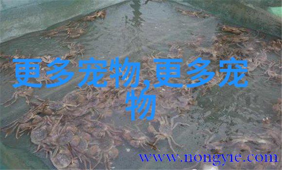 蹲棚有感